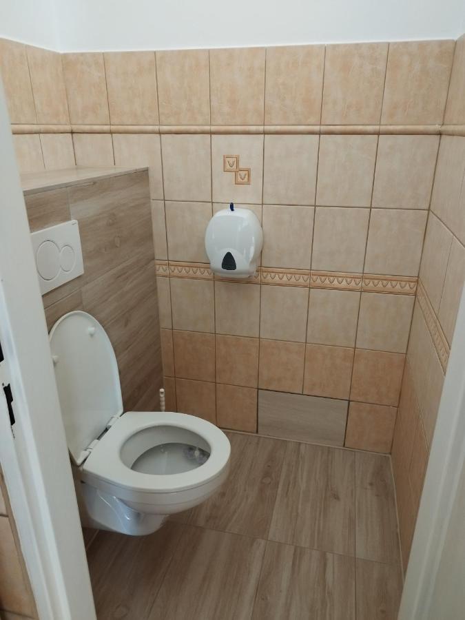 Ubytovanie Vo Dvore Badin Экстерьер фото